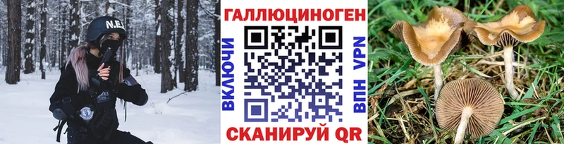 omg зеркало  Ханты-Мансийск  Галлюциногенные грибы мицелий  даркнет сайт 